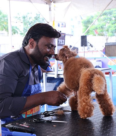 GROOMING COMPETITION: